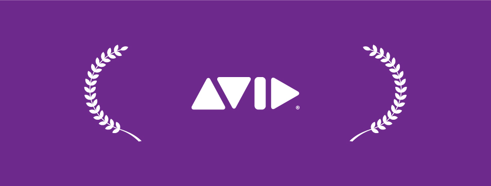 Avid Channel Partner of the Year